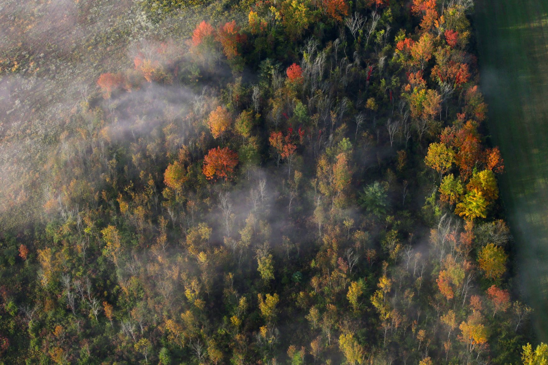 Adirondack Balloon Festival, Sunday morning
